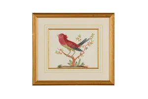 Product Image 1 for Pink Bird Artwork from Chelsea House