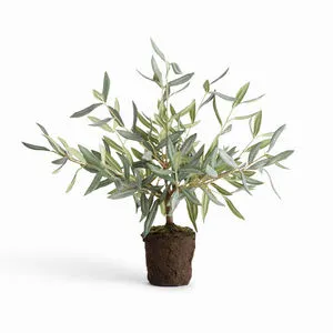 Product Image 1 for Olive Tree Drop-In from Napa Home And Garden