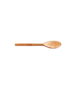 Product Image 1 for Big Nature Spoon from BIDKHome