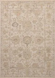 Vintage style area rug with faded ivory, sand, and grey motifs in a classic bordered design