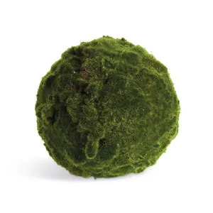 Product Image 1 for Moss Orbs, Set of 2 from Napa Home And Garden
