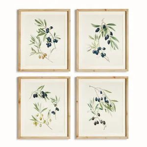 Product Image 1 for Olive Stems Study, Set Of 4 from Napa Home And Garden