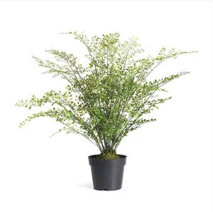 Product Image 1 for Faux Maidenhair Drop-In, 30" from Napa Home And Garden