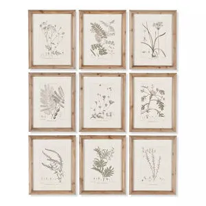 Product Image 1 for Botanical Illustrations, Set Of 9 from Napa Home And Garden