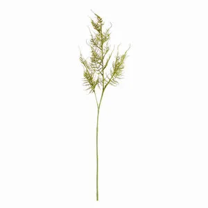 Product Image 1 for Plumosa Stems, Set Of 6 from Napa Home And Garden