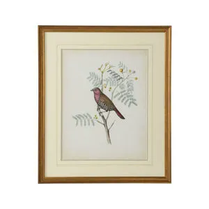 Product Image 1 for Delicate Birds II Artwork from Chelsea House