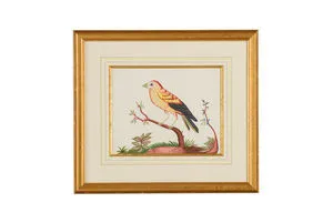 Product Image 1 for Yellow Wing Bird Artwork from Chelsea House
