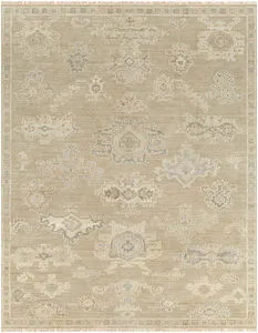 Product Image 1 for Antalya Hand-Knotted Wool Light Brown / Sage Rug - 6' x 9' from Surya