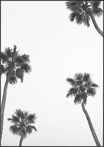 Product Image 1 for Seaside Palms II from Leftbank