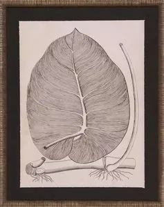 Product Image 1 for Lively Leaves II Art from Shadow Catchers