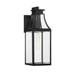 Matte black outdoor wall lantern with clear glass panes and curved hood featuring a single tubular bulb inside