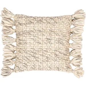Product Image 1 for Narvik Beige / Gray Pillow from Surya