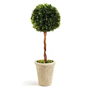 Product Image 1 for Boxwood Single Sphere Topiary from Napa Home And Garden