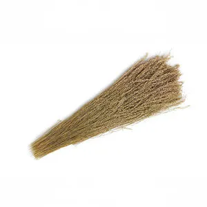 Product Image 1 for Natural Long Dried Everlasting Plants Bunch from BIDKHome