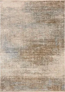 Product Image 1 for Winston Sky / Earth Rug from Loloi