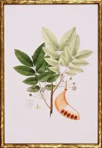 Product Image 1 for Green For Spring IV from Shadow Catchers