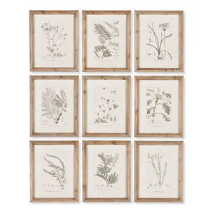 Product Image 2 for Botanical Illustrations, Set Of 9 from Napa Home And Garden