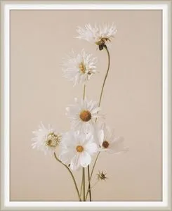 Product Image 1 for Flowers of Adornment 9 from Level 57 Art Studio