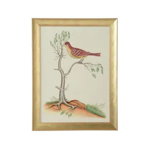 Product Image 1 for Watercolor Birds II Artwork from Chelsea House