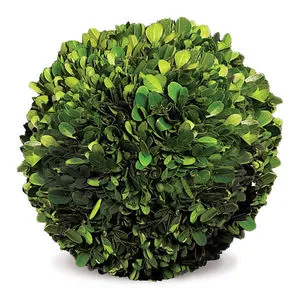 Product Image 1 for Boxwood Ball from Napa Home And Garden
