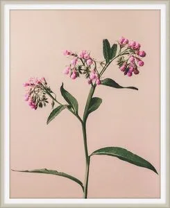 Product Image 1 for Flowers of Adornment 5 from Level 57 Art Studio