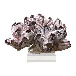 Product Image 1 for Barnacle Coral 8 from Legend of Asia