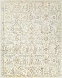 Product Image 1 for Aleyna Hand-Knotted Light Brown / Gray Rug - 8' x 10' from Surya