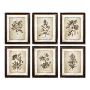Product Image 1 for Framed Vintage Floral Prints, Set Of 6 from Napa Home And Garden