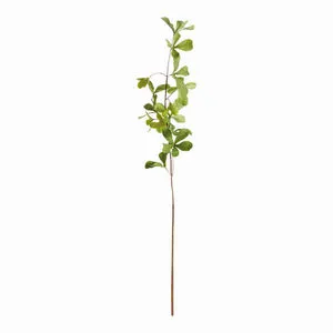 Product Image 1 for Shady Lady Black Olive Stems , Set Of 4 from Napa Home And Garden