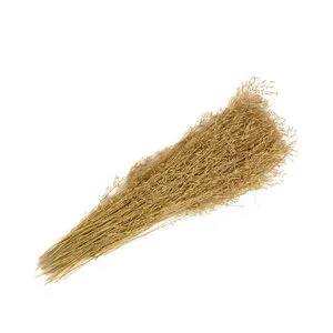Product Image 1 for Natural Long Dried Plants Bunch from BIDKHome