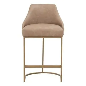 Product Image 1 for Parissa Counter Stool, Set of 2 from Essentials for Living