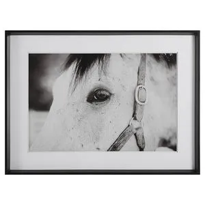 Product Image 1 for Eye of the Beholder Black & White Framed Horse Print from Uttermost