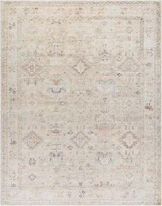 Traditional machine woven area rug in dusty coral tones with intricate muted geometric and floral patterns