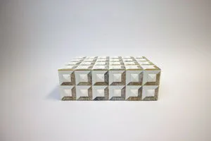 Product Image 1 for Stacy Large Cubed Bone Box from A. Sanoma Inc