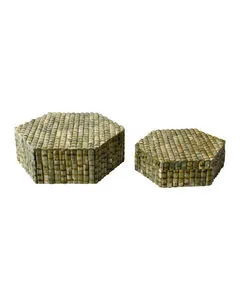 Product Image 1 for Knepp Green Box, Set of 2 from Currey & Company