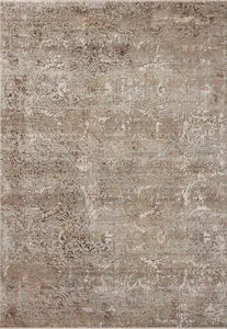 Product Image 1 for Aylin Granite / Bronze Rug from Loloi