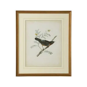 Product Image 1 for Delicate Birds III Artwork from Chelsea House