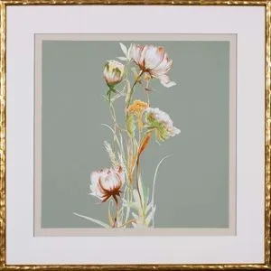 Product Image 1 for Whispered Blooms from Shadow Catchers