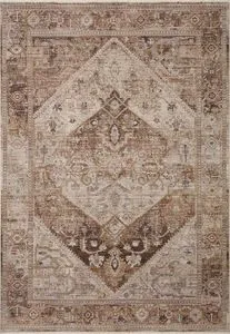 Product Image 1 for Lyra Traditional Natural / Mocha 7'-10" x 10' Area Rug from Loloi