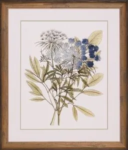 Product Image 1 for Leaves Of Lace I from Shadow Catchers