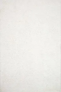 Product Image 1 for Mila Shag White Rug from Loloi
