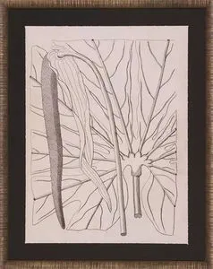 Product Image 1 for Lively Leaves IV Art from Shadow Catchers