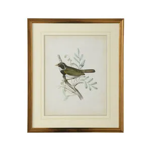 Product Image 1 for Delicate Birds VI Artwork from Chelsea House