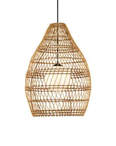Product Image 1 for Fishtrap Outdoor Pendant from Currey & Company