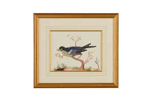 Product Image 1 for Patton Blue Bird Artwork from Chelsea House