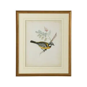 Product Image 1 for Delicate Birds V Artwork from Chelsea House