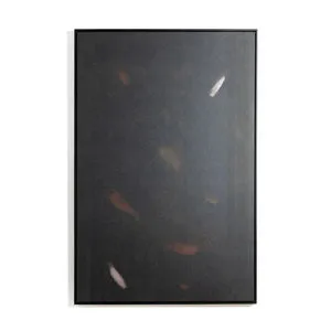 Product Image 1 for Koi Pond Framed Photograph by Jess Engle from Four Hands