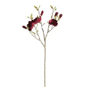 Product Image 1 for Magnolia Branches, Set of 4 from Napa Home And Garden