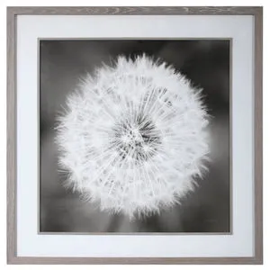 Product Image 3 for Uttermost Dandelion Seedhead Framed Print from Uttermost