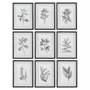 Product Image 7 for Farmhouse Florals Framed Prints, S/9 from Uttermost